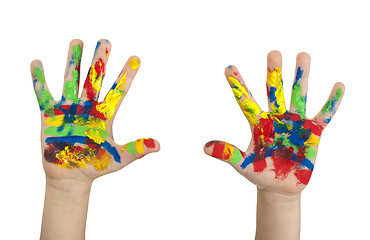 Image showing Boy hands painted with colorful paint