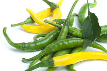 Image showing Small thin green chili peppers