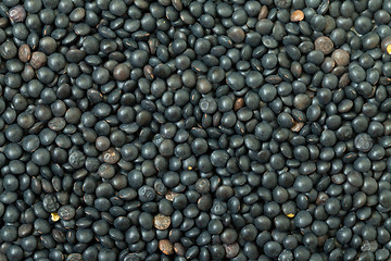 Image showing Backdrop of Black Lentil