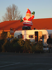 Image showing Norwegian farmer selling christmastrees