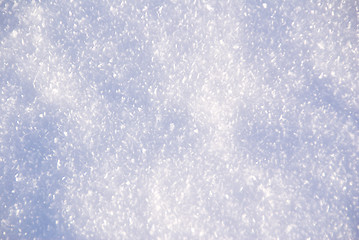 Image showing Snow cover