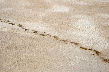 Image showing Salty land and footprints