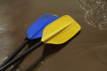 Image showing Two paddles