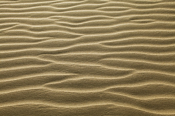 Image showing Rippled sand
