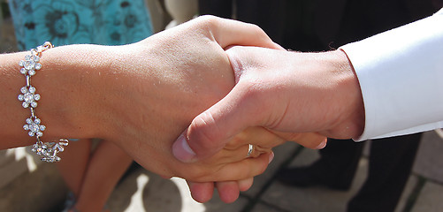 Image showing Friendship Hand Shake