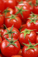 Image showing Cocktail tomatoes