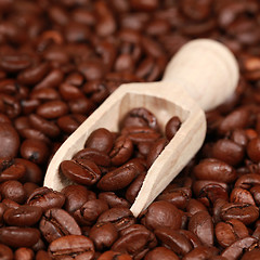 Image showing Roasted coffee beans on a wooden spoon