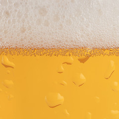 Image showing Beer with froth