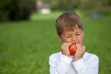 Image showing Little boy eating an apple