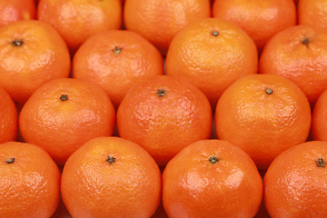 Image showing Tangerines