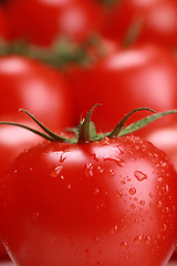 Image showing Fresh tomato with water drops