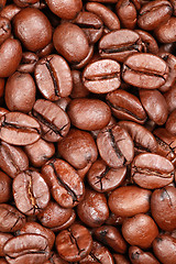 Image showing Coffee beans forming a background