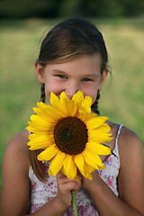 Image showing Young girl with a sunflower