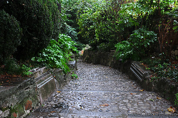 Image showing Paved Slope in the Rain