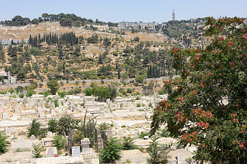 Image showing Mount of Olives from the walls of Jerusalem.