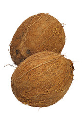 Image showing Coconut