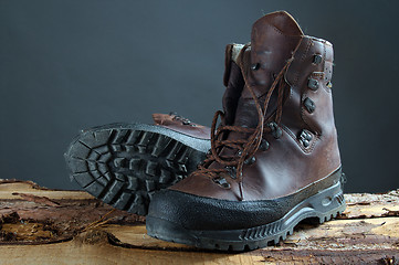 Image showing Hiking Boots