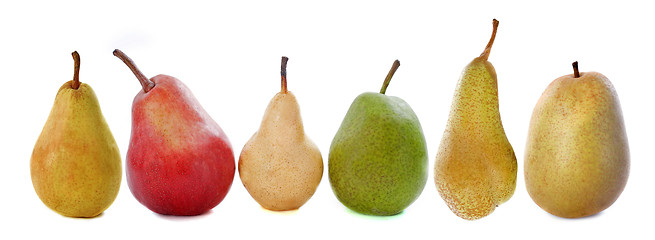 Image showing varieties of pears