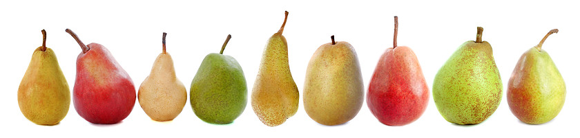 Image showing varieties of pears