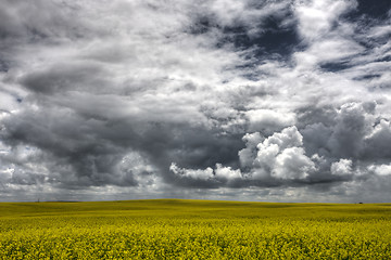 Image showing Storm Clouds Saskatchewan