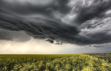 Image showing Storm Clouds Saskatchewan