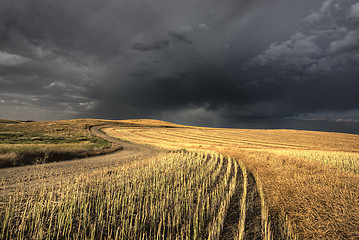 Image showing Storm Clouds Saskatchewan