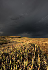 Image showing Storm Clouds Saskatchewan