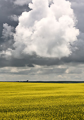 Image showing Storm Clouds Saskatchewan