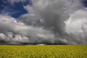 Image showing Storm Clouds Saskatchewan