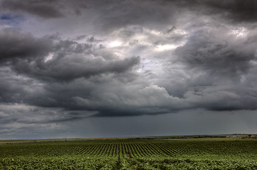 Image showing Storm Clouds Saskatchewan