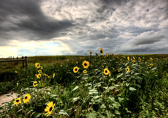 Image showing Storm Clouds Saskatchewan