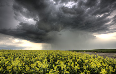 Image showing Storm Clouds Saskatchewan