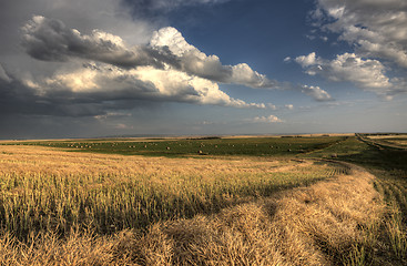 Image showing Storm Clouds Saskatchewan