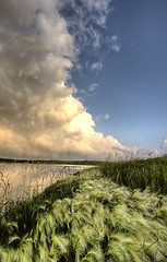 Image showing Storm Clouds Saskatchewan