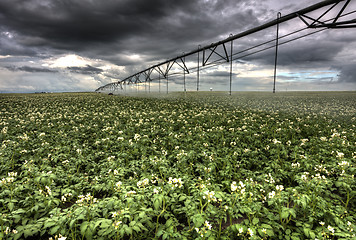 Image showing Storm Clouds Saskatchewan