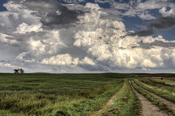 Image showing Storm Clouds Saskatchewan