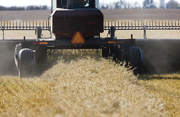 Image showing Harvest Combining Saskatchewan