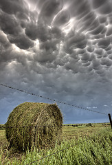 Image showing Storm Clouds Saskatchewan