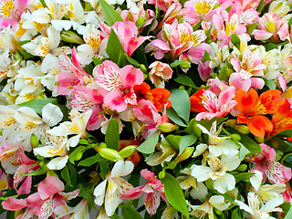 Image showing flower bouquet