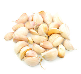 Image showing Garlic