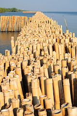 Image showing Bamboo wall