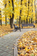 Image showing Old bench in the autumn park.