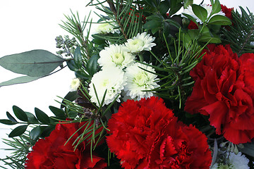 Image showing Red Carnations