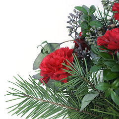 Image showing Red Carnations