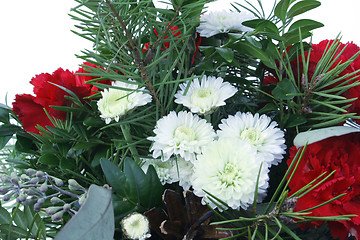 Image showing Red Carnations