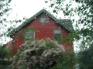Image showing Raining