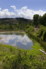 Image showing Pond, Mountains and Green in Helena Montana