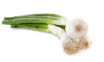 Image showing leeks in studio