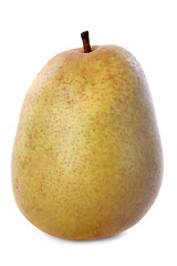 Image showing beurre hardy pear