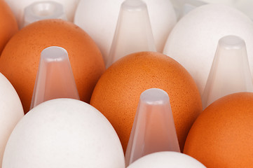 Image showing Eggs in box